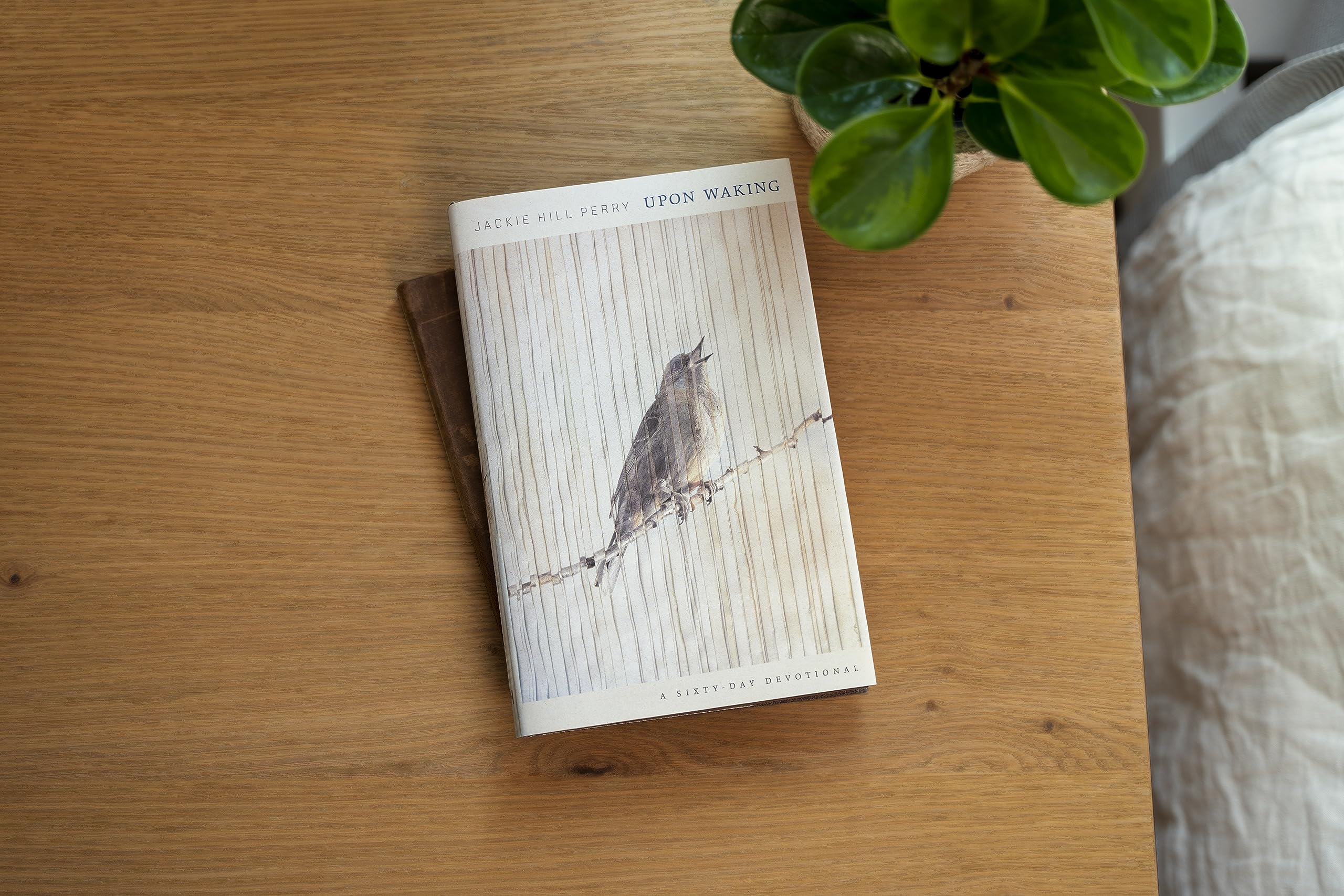 Upon Waking: 60 Daily Reflections to Discover Ourselves and the God We Were Made For