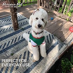 Parisian Pet Dog Jersey – Embroidered Mexico Mesh