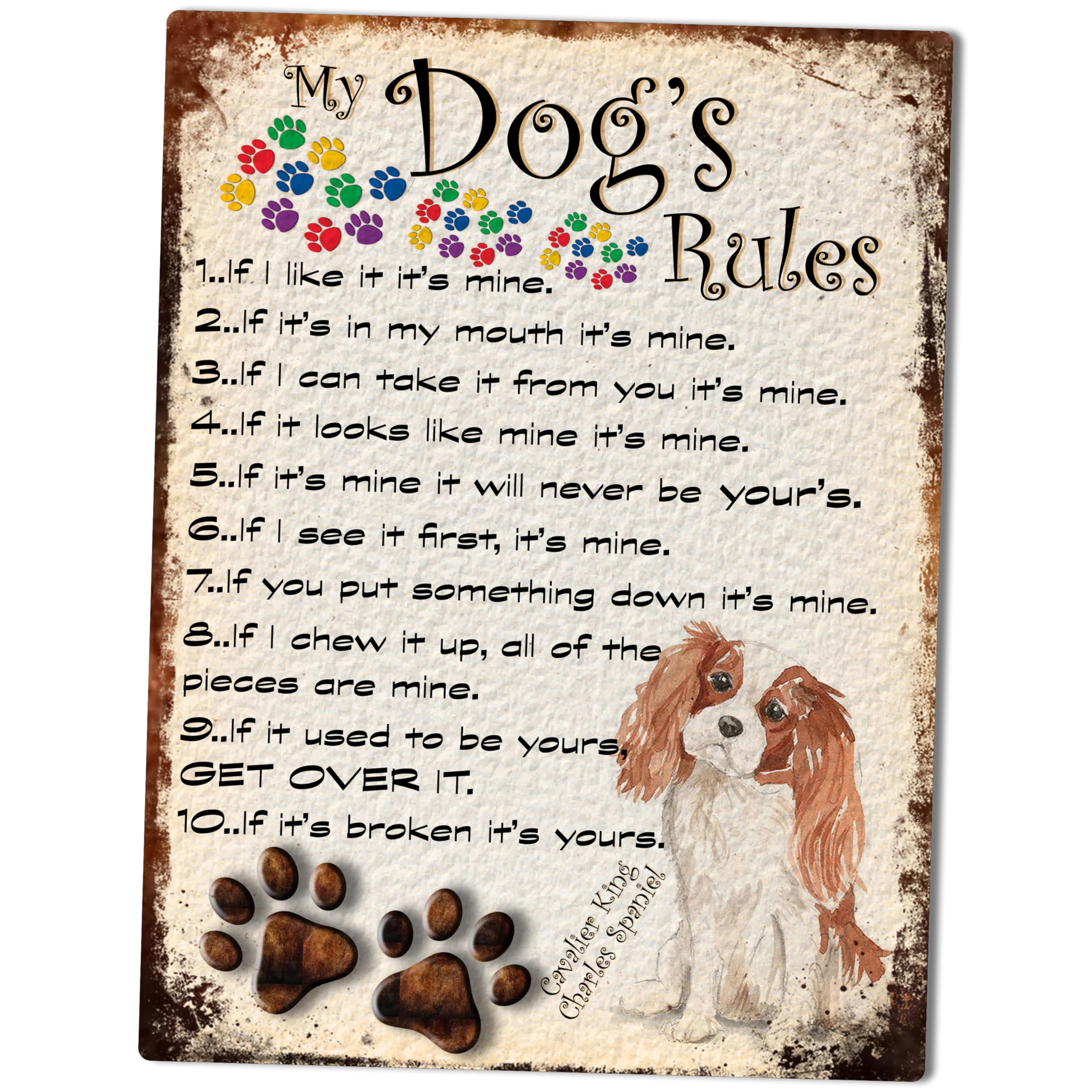 SHAWPRINT MY DOG'S RULES RETRO STYLE METAL TIN SIGN/PLAQUE DOG BREEDS 8" x 6" (Cavalier King Charles Spaniel Light Brown/White)