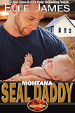 Montana SEAL Daddy (Brotherhood Protectors Book 7)