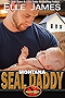 Montana SEAL Daddy (Brotherhood Protectors Book 7)
