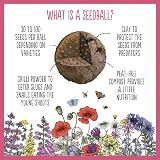 Seedball Wildflower Seed Bombs Set of 5 Tubes Bee Friendly Seeds view 5