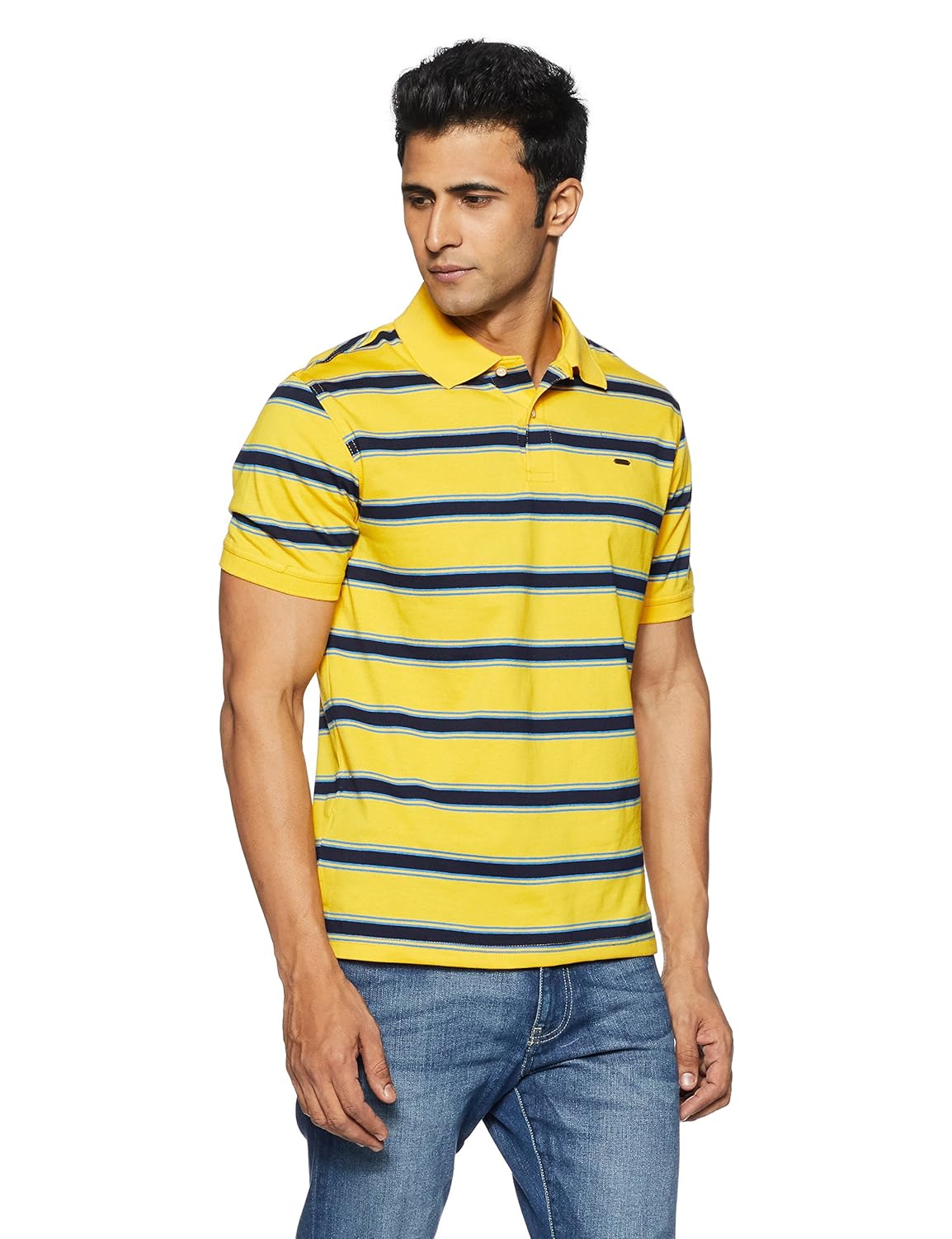 peter england men's striped regular fit synthetic polo