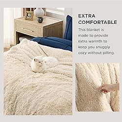 Bedsure Soft Beige Twin Blanket for Bed, Fluffy