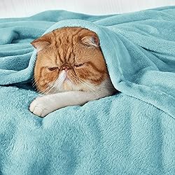 Bedsure GentleSoft Fleece Throw Blanket for Couch