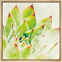 SIGNWIN Framed Canvas Wall Art Green Copper Pinwheel with Pink Tips Succulent Botanical Plants Watercolor Modern Art Chic Closeup Relax/Calm for Living Room, Bedroom, Office - 16x16 inches