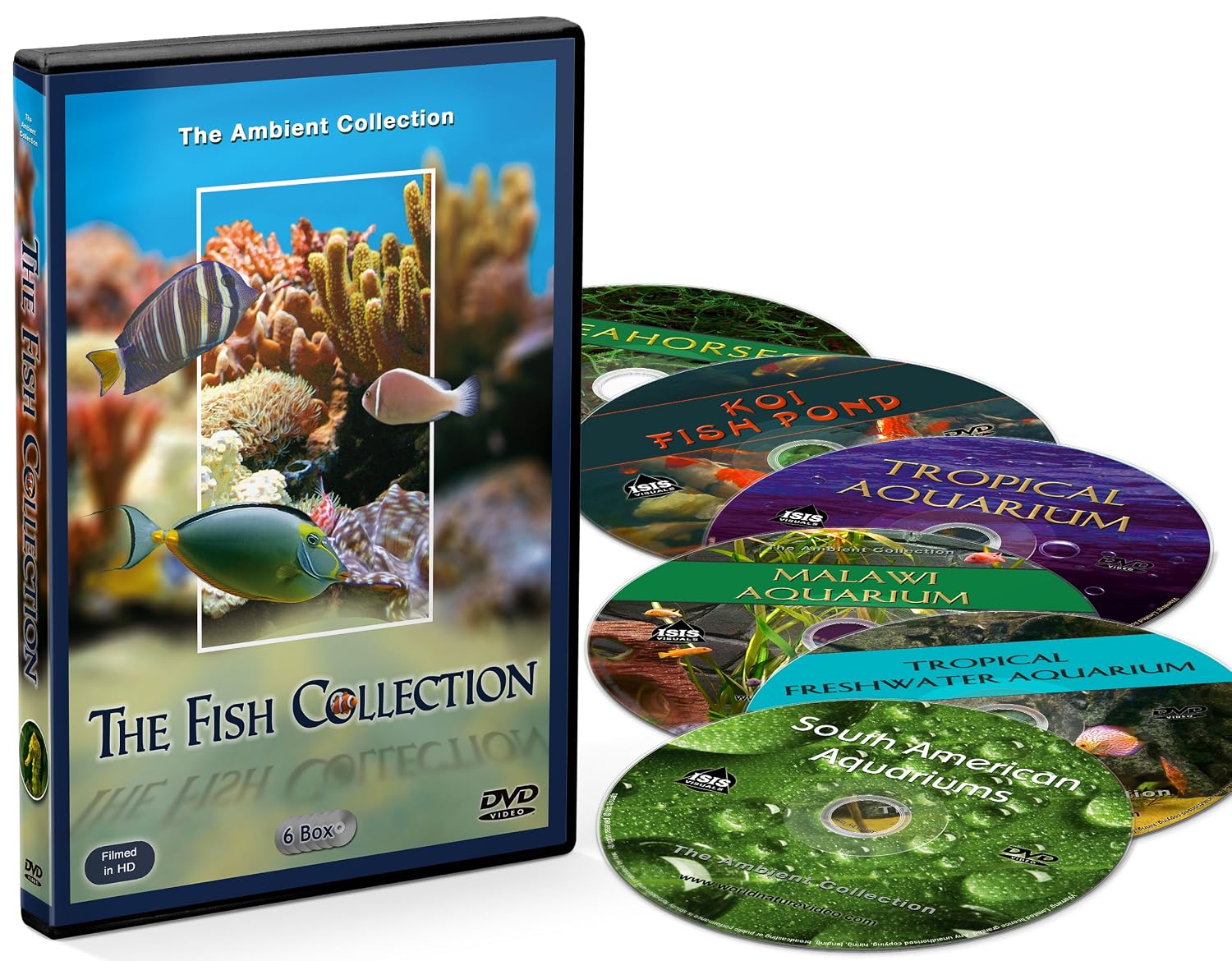 Amazoncom Dvd Aquarium La Collection Poissons 6 Dvd