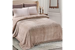 Whale Flotilla Flannel Fleece Queen Size Bed Blanket, Soft Velvet Lightweight Bedspread Plush Fluffy Coverlet Chevron Design Decorative Blanket for All Season, 90x90 Inch, Champagne