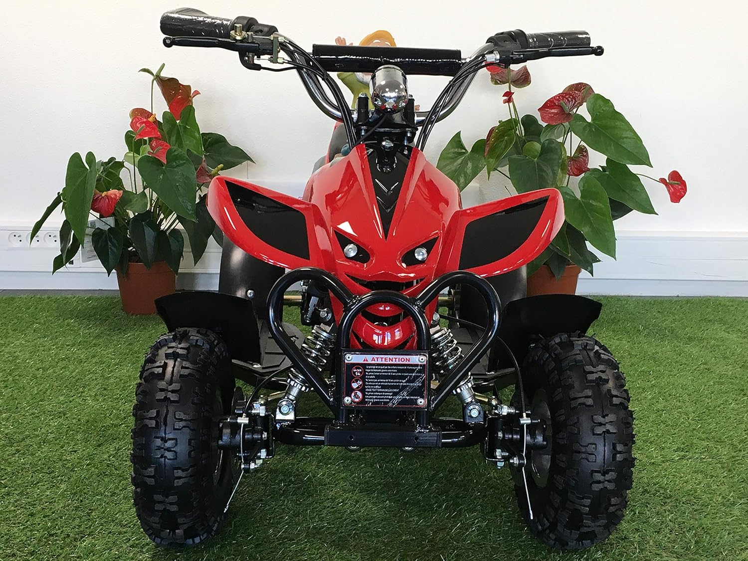 electric quad bike 36v 800w
