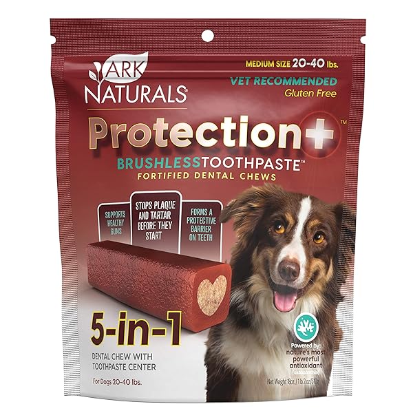 ARK NATURALS PROTECTION PLUS BRUSHLESS TOOTHPASTE FOR MEDIUM...