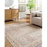 Livabliss Amelie Vintage Washable Area Rug, 5'3" x 7'3", Seafoam, (5' x 7')