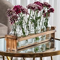 915IzGja-4L._AC_UL210_SR210,