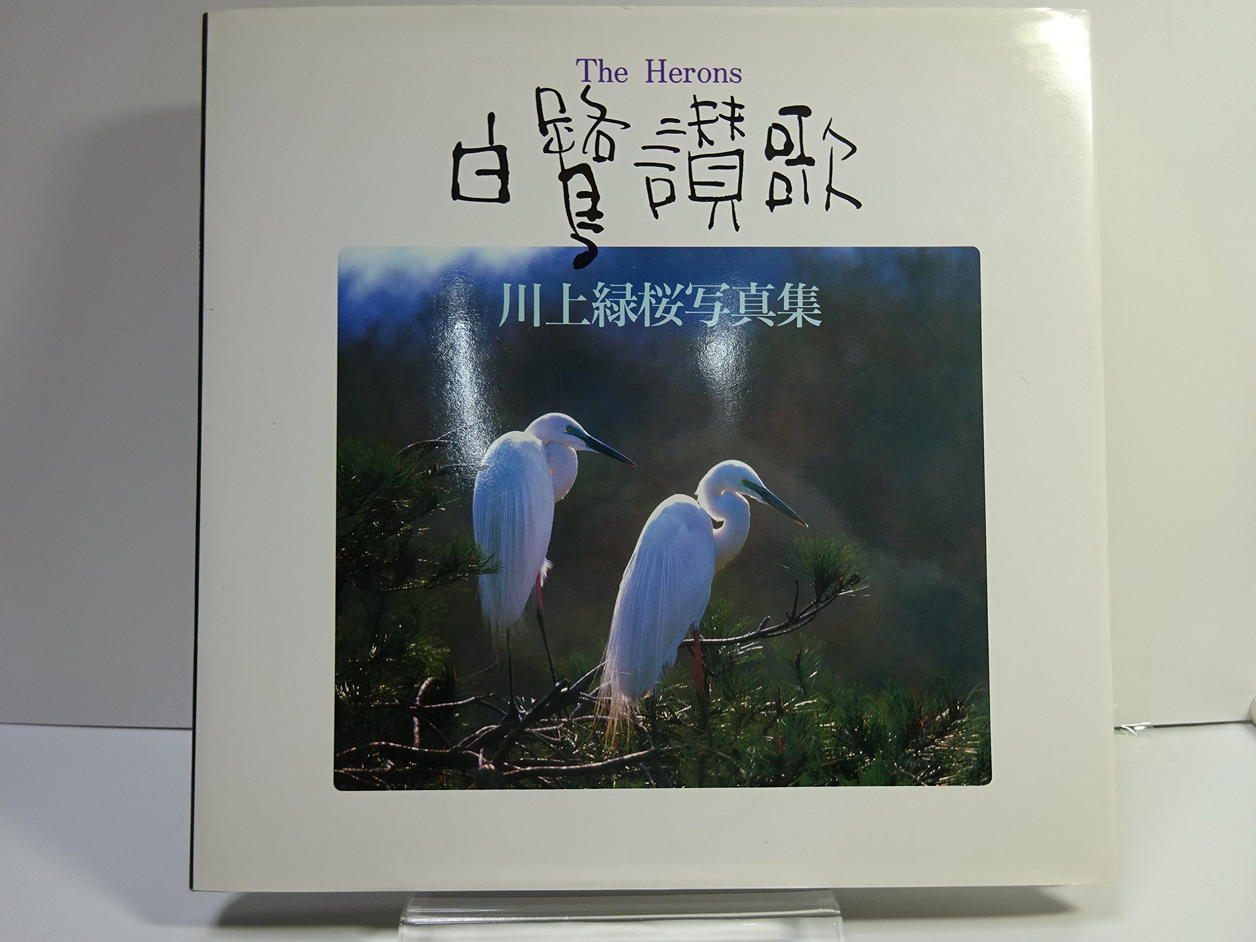 白鷺讃歌 川上緑桜写真集 Amazon Com Books