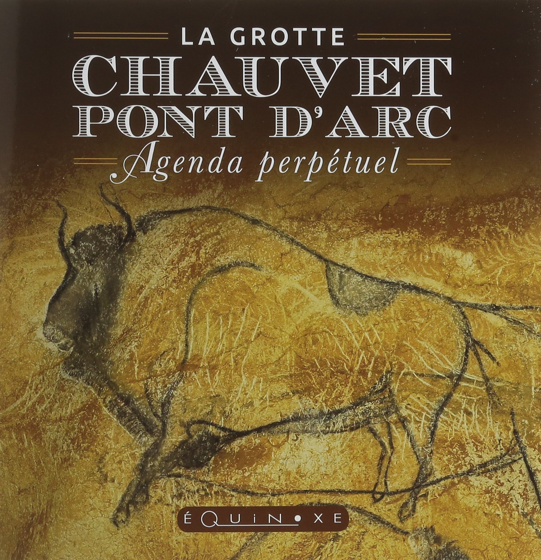 Agenda Perpetuel De La Grotte Chauvet Pont D Arc Les Agendas D E 9782841359318 Amazon Com Books