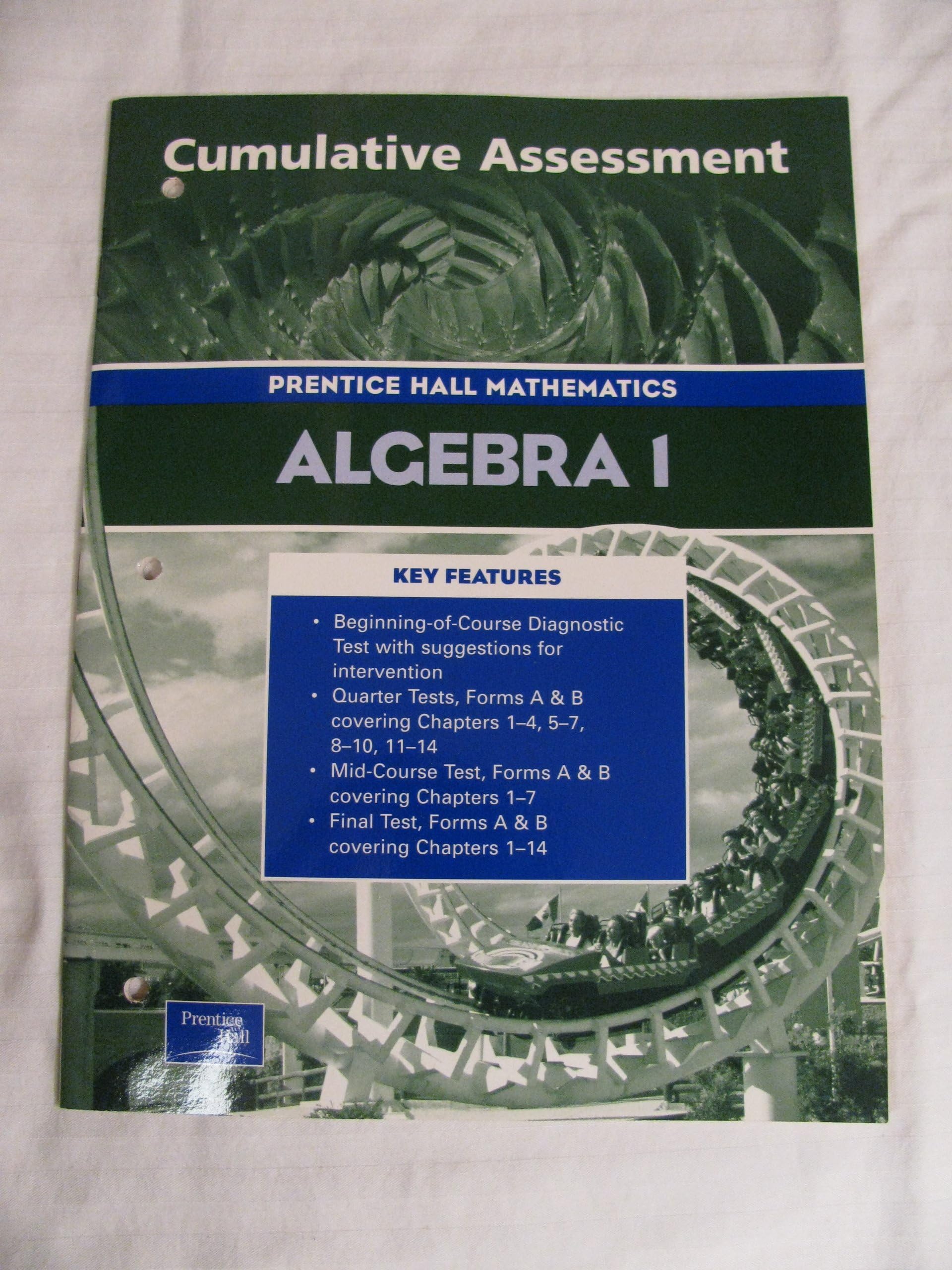 ALGEBRA 1 3RD EDITION CUMULATIVE ASSESSMENT 2004C