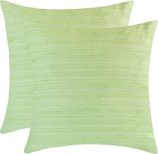 Amazon Com The White Petals Light Green Pillow Cases For Sofa