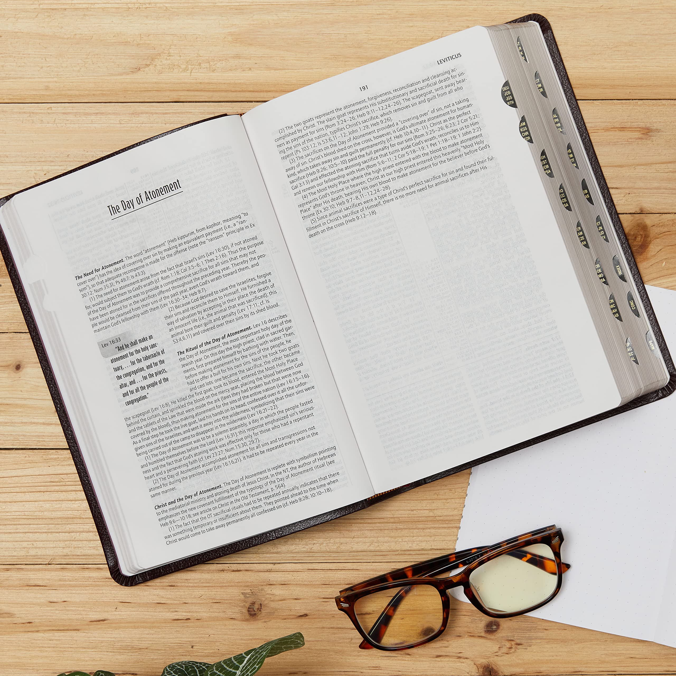 KJV Life in the Spirit Study Bible, Indexed