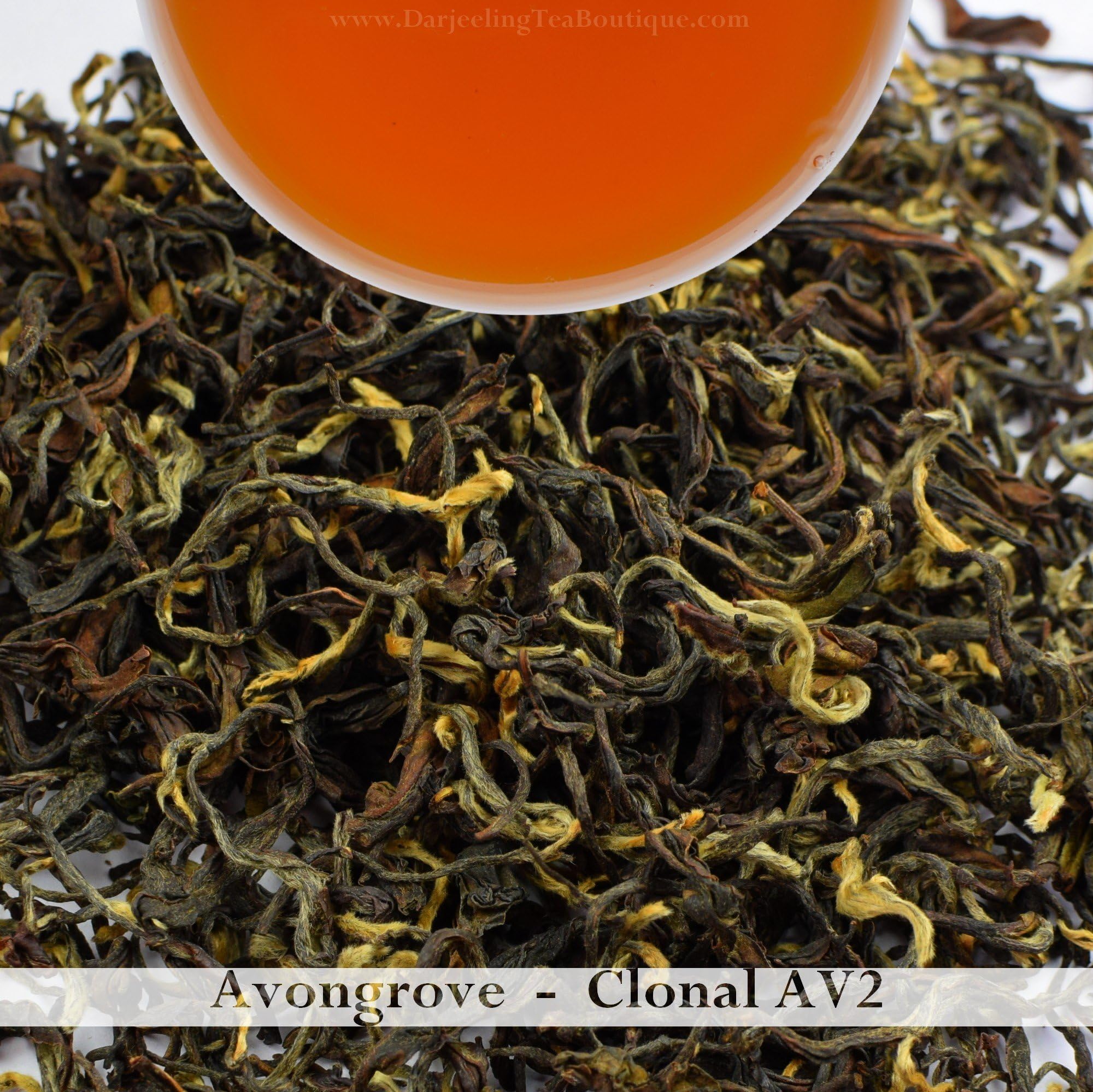Organic Darjeeling 2nd Flush Tea | 100gm (3.52oz) | Loose Leaf Tea from Avongrove | Musky, Floral, Fruity | Darjeeling Tea Boutique