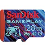 Amazon.com: SanDisk 128GB 2-Pack microSDXC Card, Licensed for