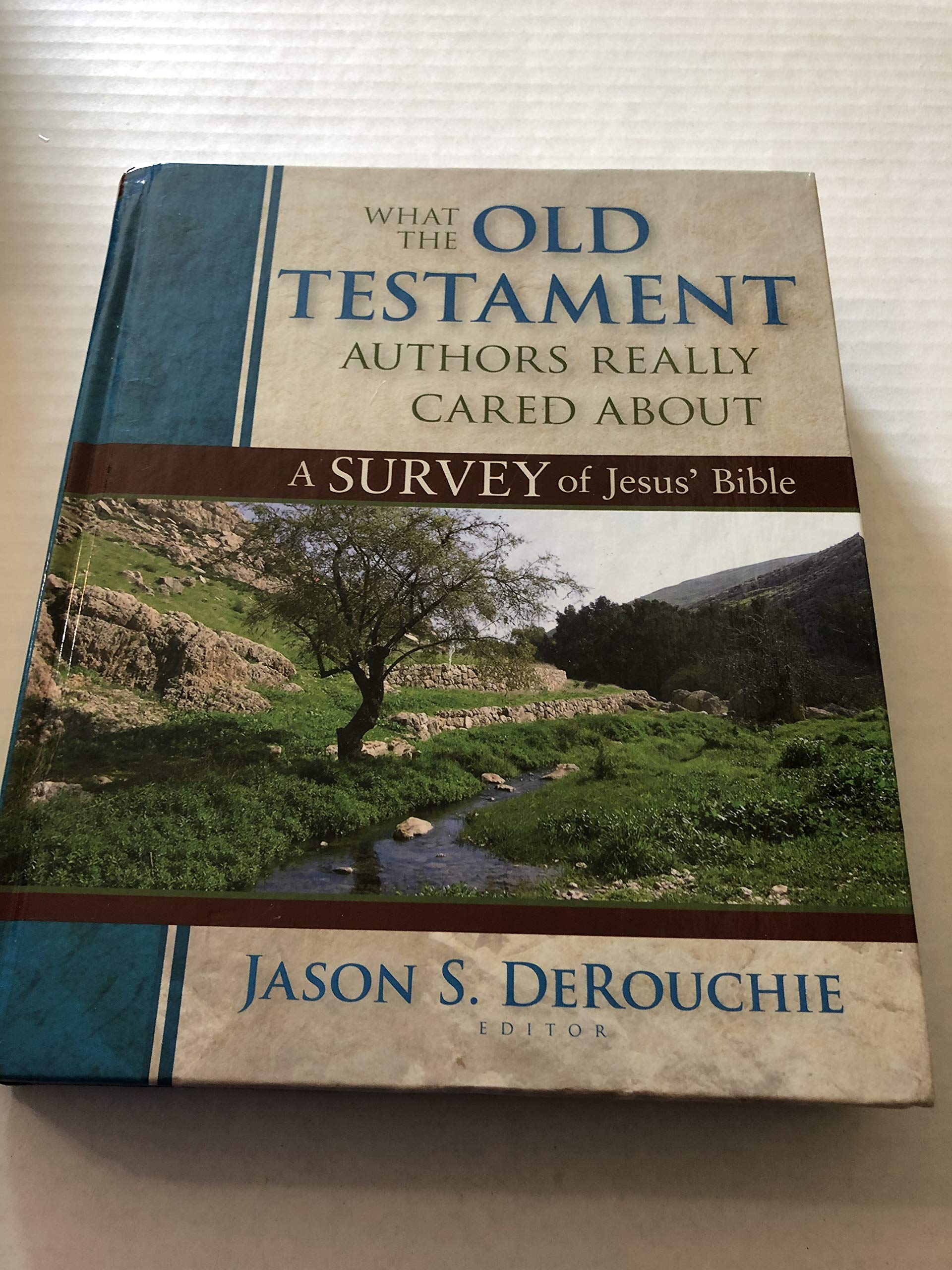 What the Old Testament Authors Really Cared About: A Survey of Jesus' Bible
