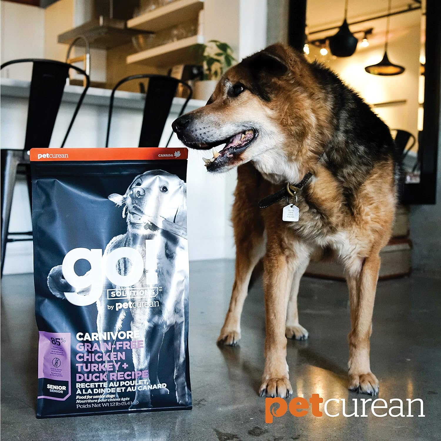 go carnivore puppy food