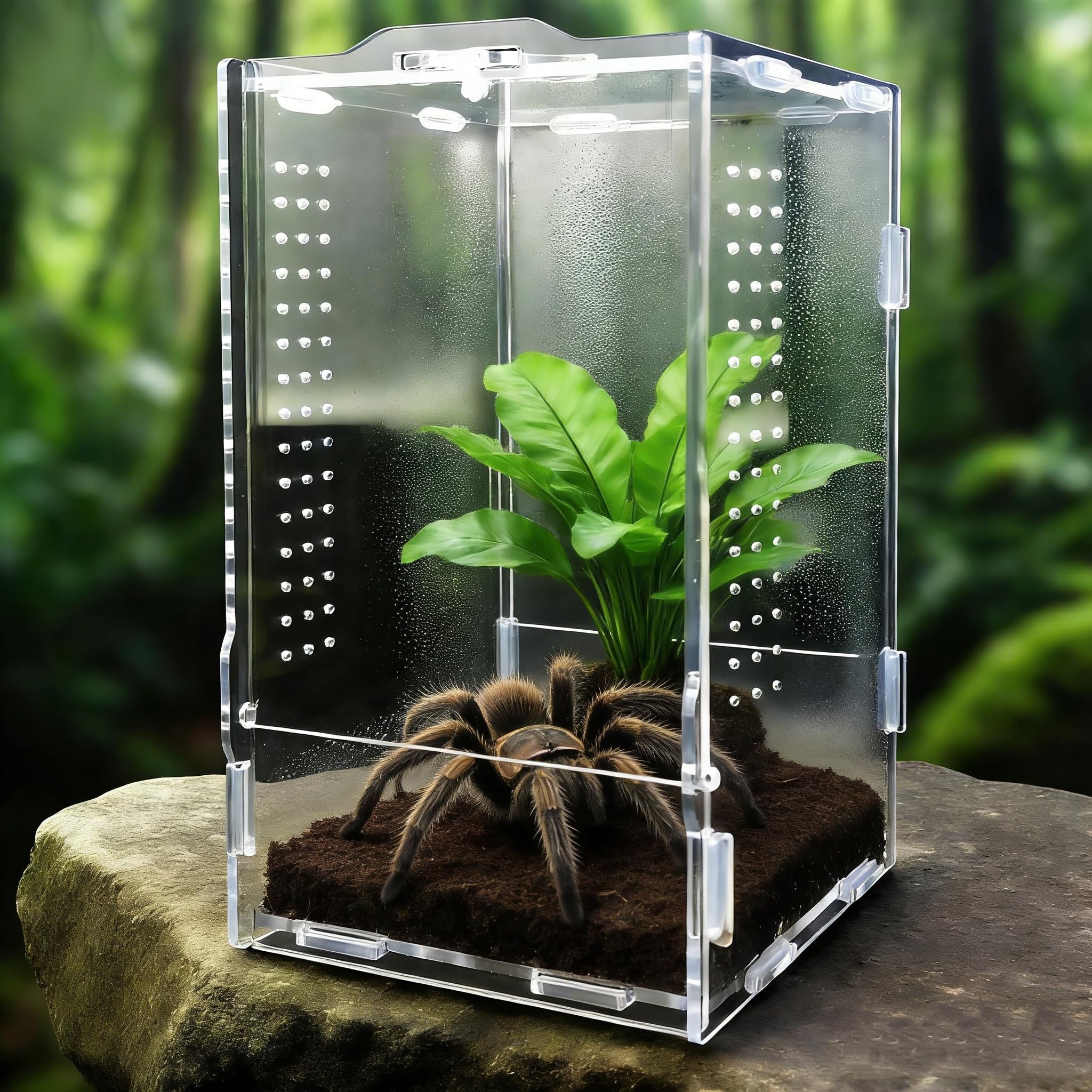 Acrylic Reptile Breeding Box,Jumping Spider Enclosure, Insect Feeding Box with Vents,Portable Crawling Tarantula Transparent Reptile Pet,Enclosure Breeding box for Spider Lizard Scorpion(12* 12* 20)