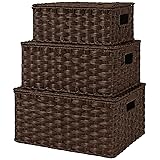 GRANNY SAYS Wicker Baskets with Lids, Set of 3