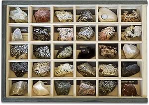 MINERALES Y FOSILES NANO Colección de 30 Rocas ...