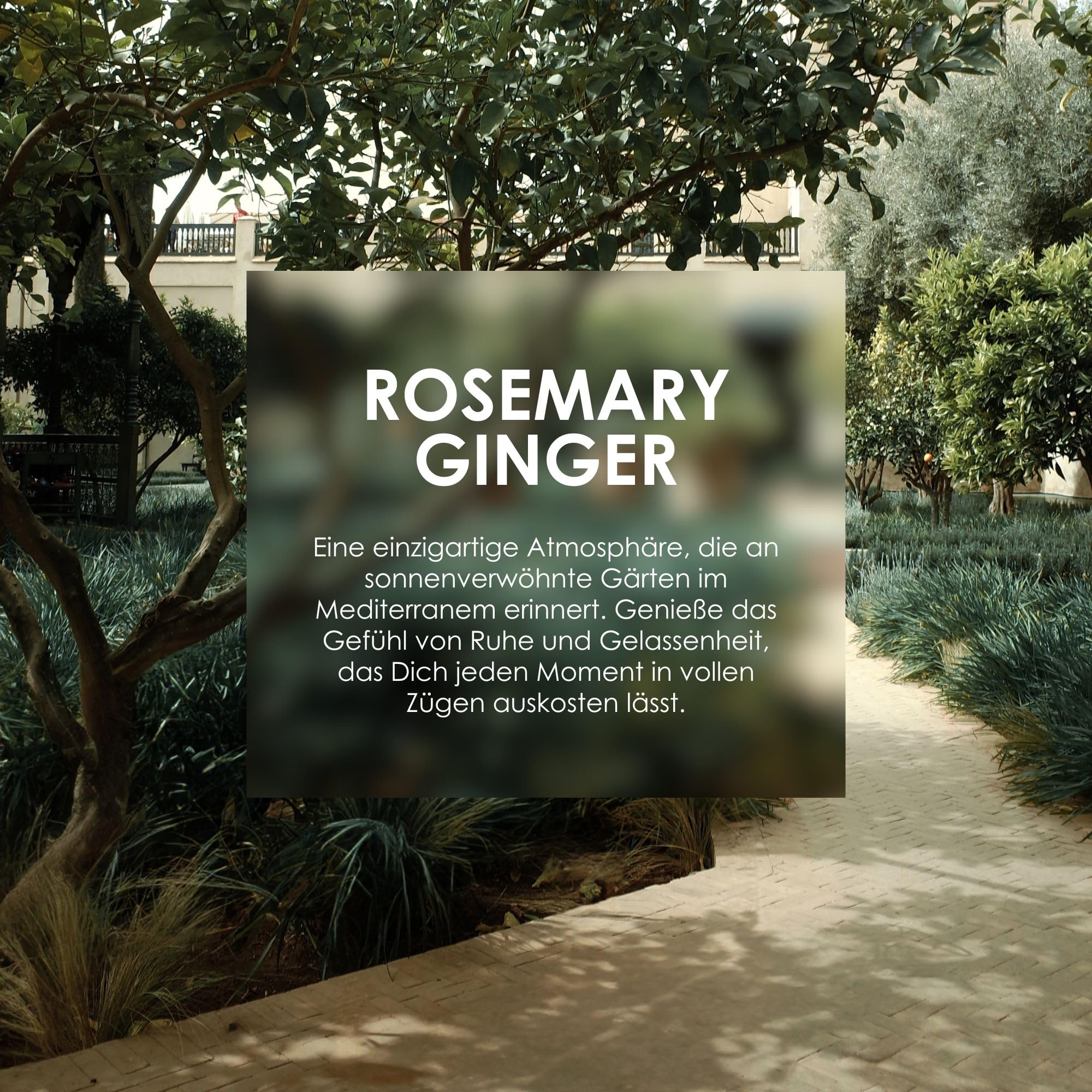 Jean & Len Hand & Body Cleanser Rosemary & Ginger, für ein duftendes Reinigungserlebnis, Körper- & Handseife in einer hochwertigen Flasche, belebend-frischer Duft, 500 ml 4