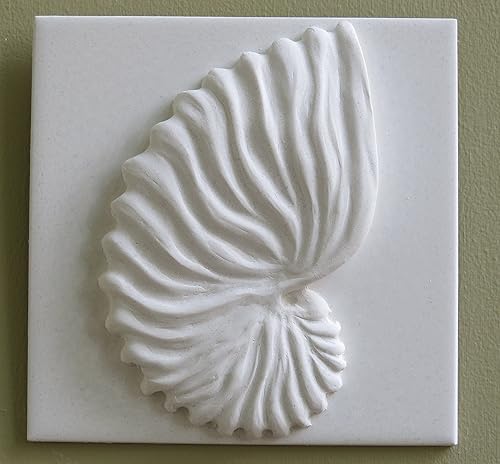 Amazon Com Nautilus Shell Decorative Tile Handmade