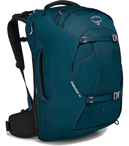 Amazon.com : Osprey Kresta 30L Women's Ski Backpack, Pine Leaf
