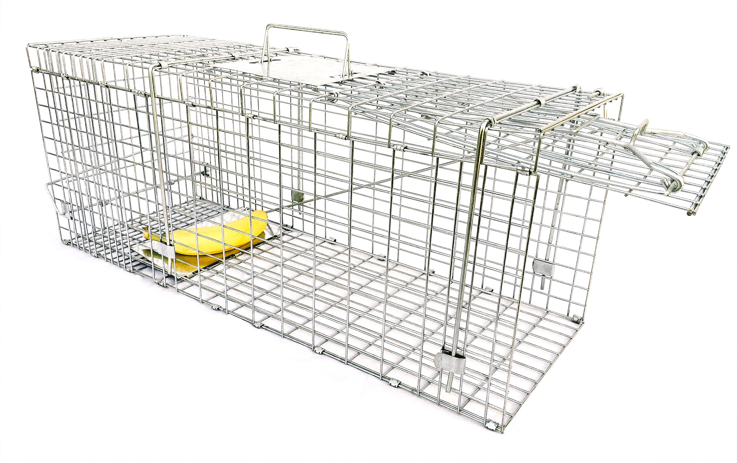 Ranger Products Large Collapsible Humane Live Animal Trap Perfect For ...