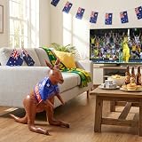 Henbrandt Inflatable Kangaroo 70cm with Blue Australian Flag view 3