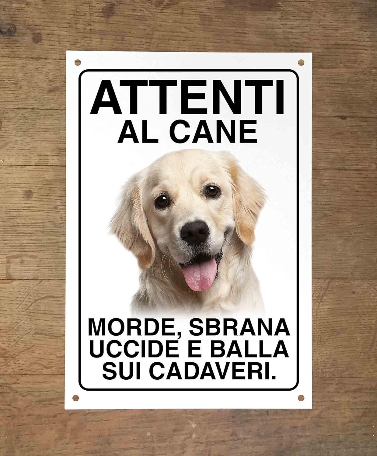 golden retriever morde