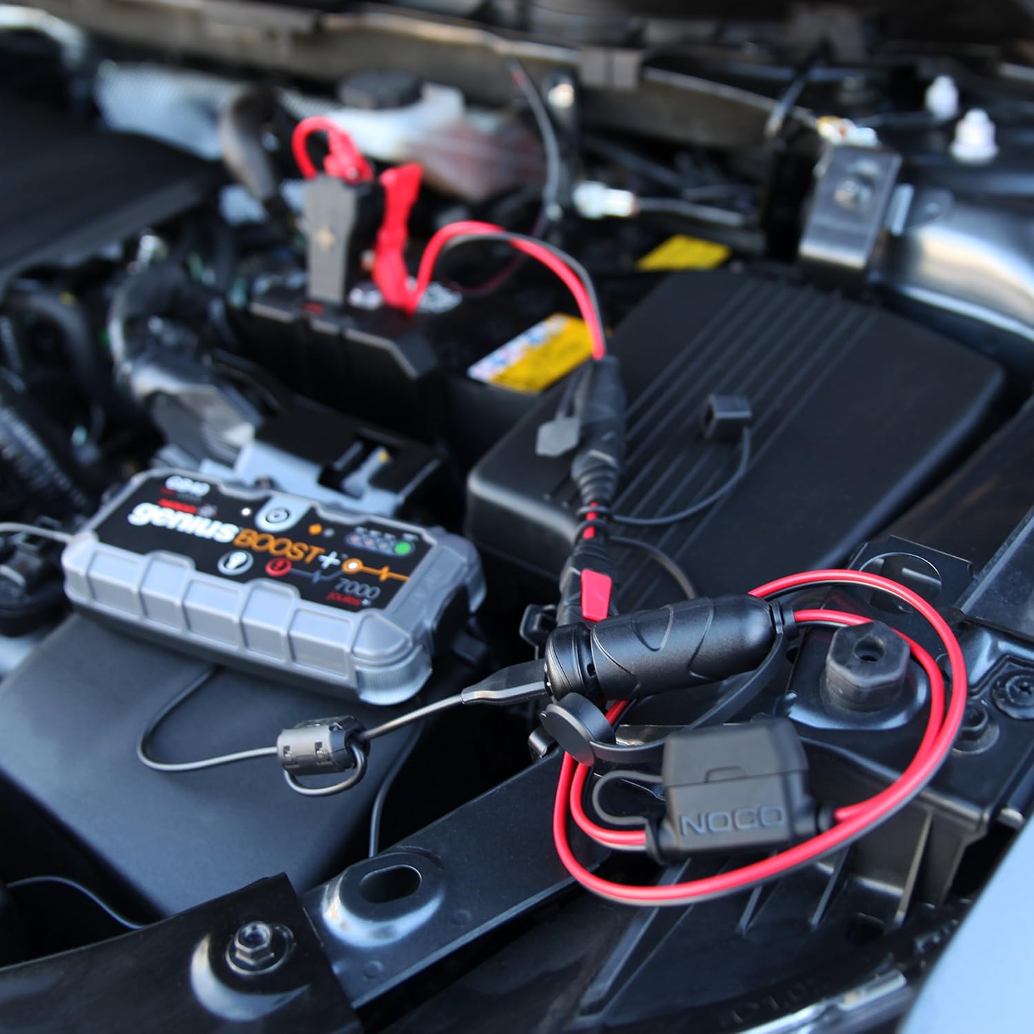 NOCO GC010 X-Connect 12V Female Plug Accessory For NOCO Genius Smart Battery Chargers: Automotive