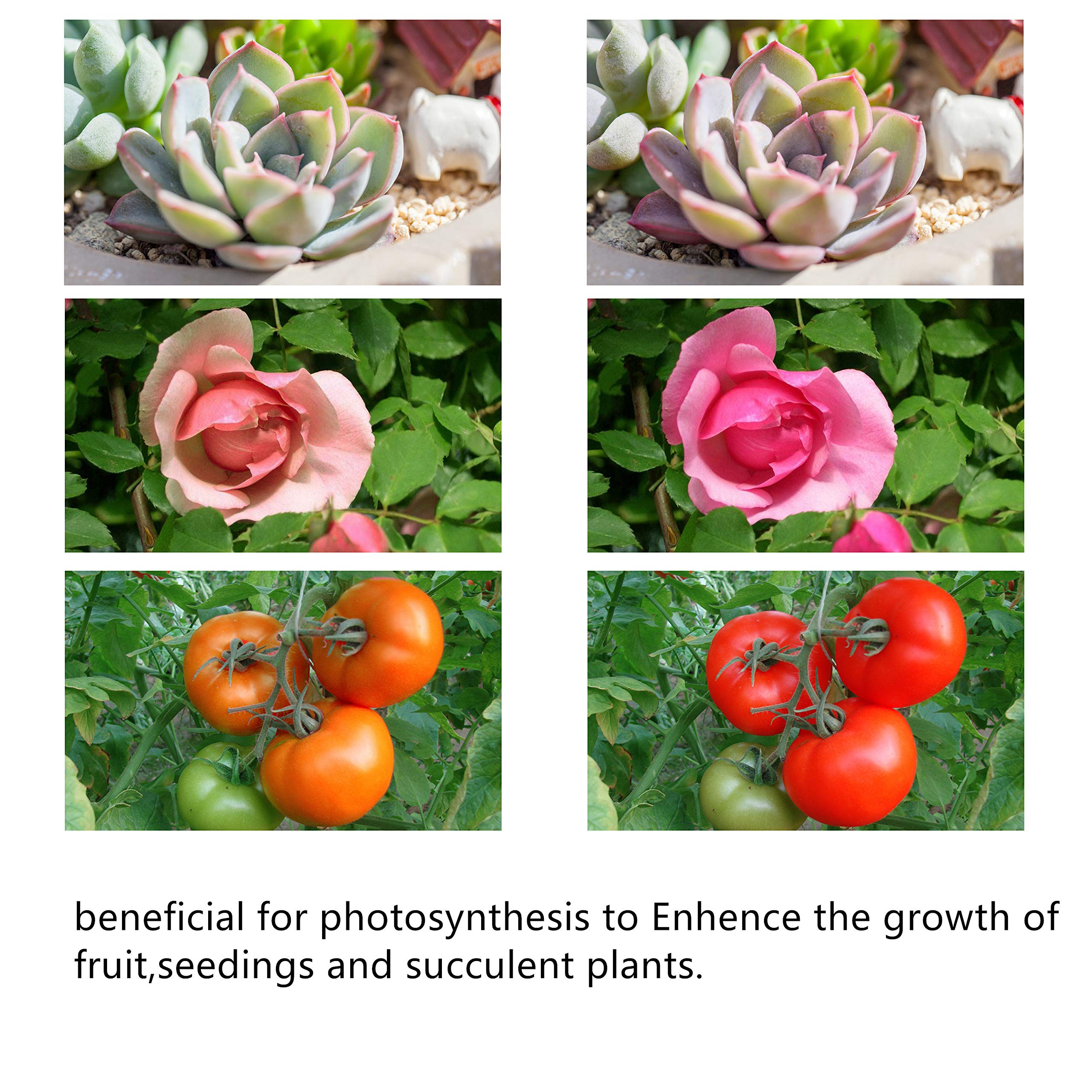 Led Grow Light Lamp for Indoor Plants Dual Head Greengarden Growing Lights Portable 18W Dimmable 360¡ã Flexible Gooseneck with Chip (18W-Black)