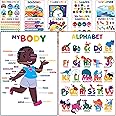 Youngever 12 Pack Laminated Educational Preschool Posters for Toddlers and Kids, Learning Classroom Teaching, Alphabet ABC (16 x 11 inch)