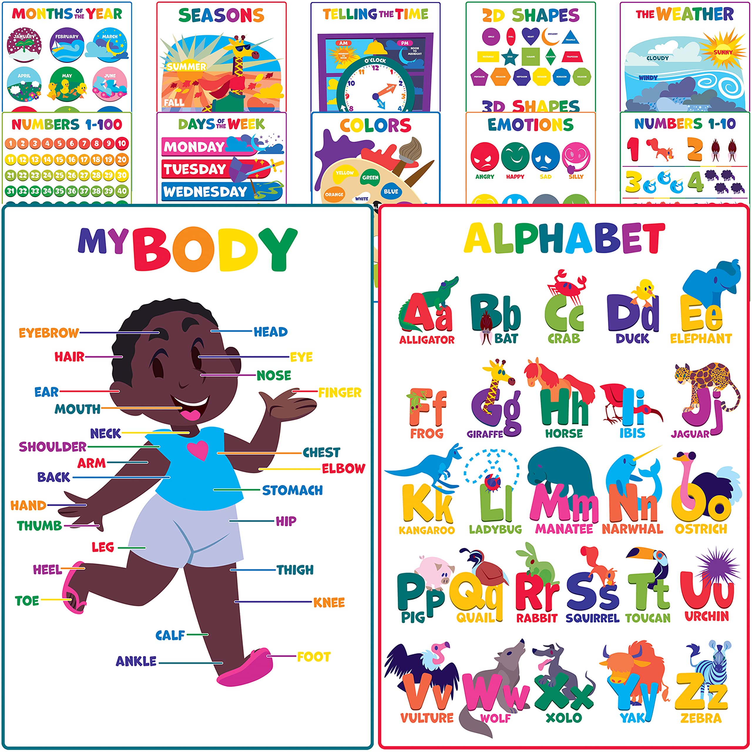 Youngever 12 Pack Laminated Educational Preschool Posters for Toddlers and Kids, Learning Classroom Teaching ABC Alphabet Posters (40CM x 28CM)