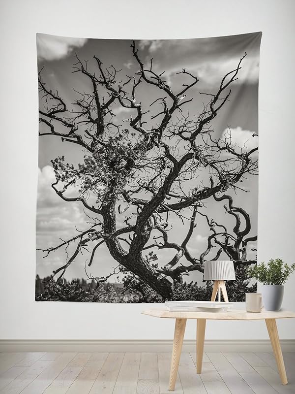 Amazon.com: Tree Branches Large Wall Tapestry, Fine Art Wall Hanging