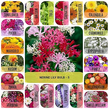 Leafy Tales 20 Varieties of Flower Seeds & 5 Bulbs of Nerine Lily Flower