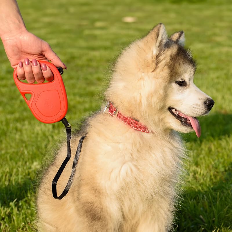Correa retráctil para Perros medianos Flippy One Cord S, Cuerda Extensible 4,5 m, máx 12 kg, Rojo