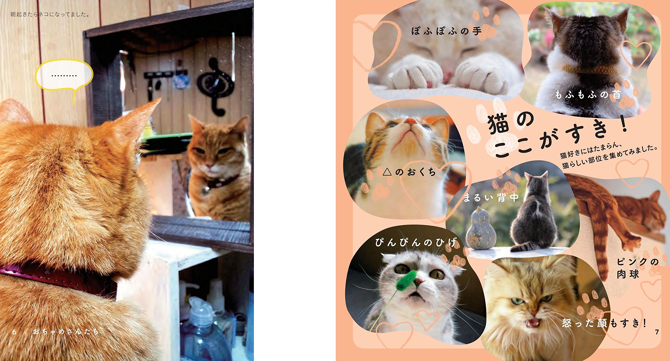 なごみ猫 BEST SELECTION 最高に癒される飼い猫たちが大集合  本 