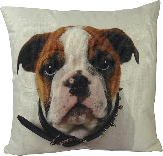 bulldog pillow