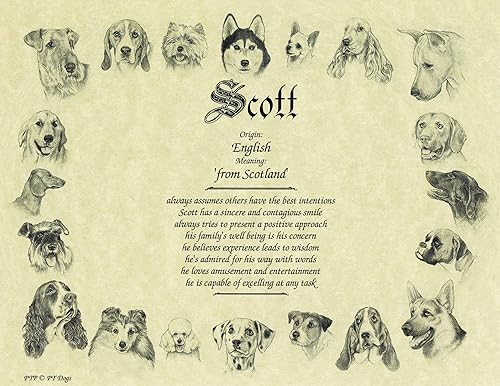 a dog is man's best friend meaning