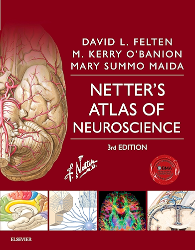 Download Netter's Atlas of Neuroscience E-Book (Netter Basic Science) (English Edition) PDF