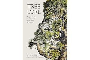 Tree Lore: Magic, Myth, and Wisdom from Root to Bough