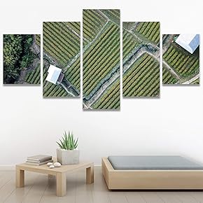 SIGNWIN 5 Panel Canvas Wall Art Modern Art...