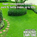 Pro-Kleen Lawn Tonic Liquid Iron Sulphate 5L - Grass Greener Fertiliser view 6
