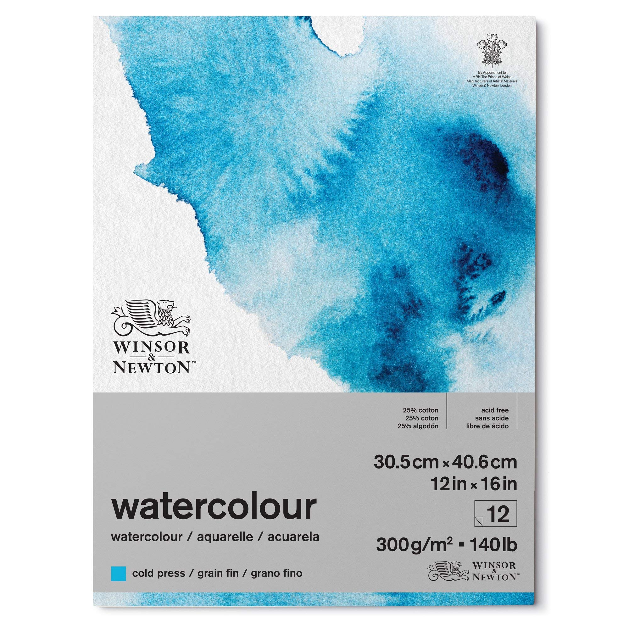 Winsor and Newton Watercolour Paper Pad, 30.5 x 40.6 cm, 12 Sheets, 300 g/m, Glue Bound, Cold Pressed, Acid , Mixture of 25 Percent Cotton and Cellulose Fibres, Natural White