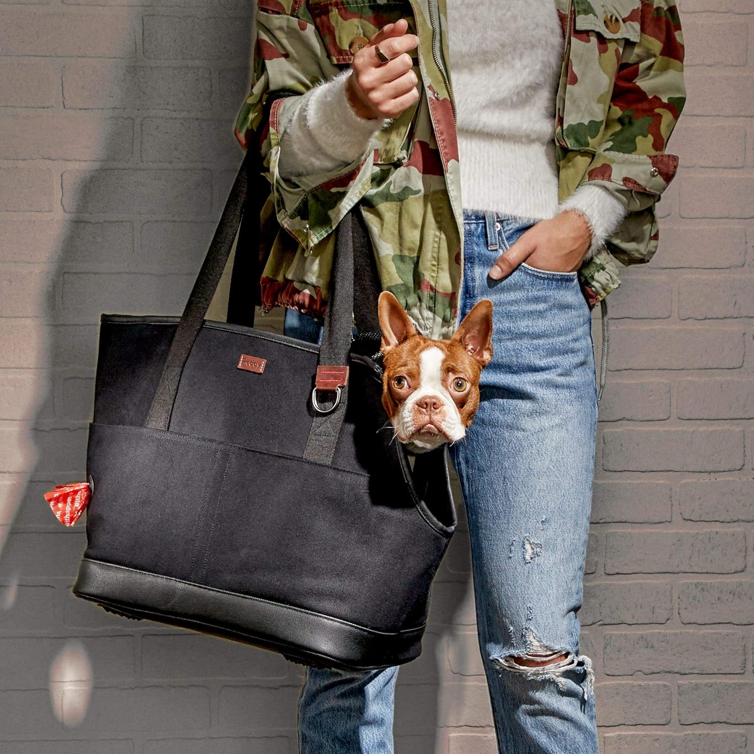 reddy pet tote
